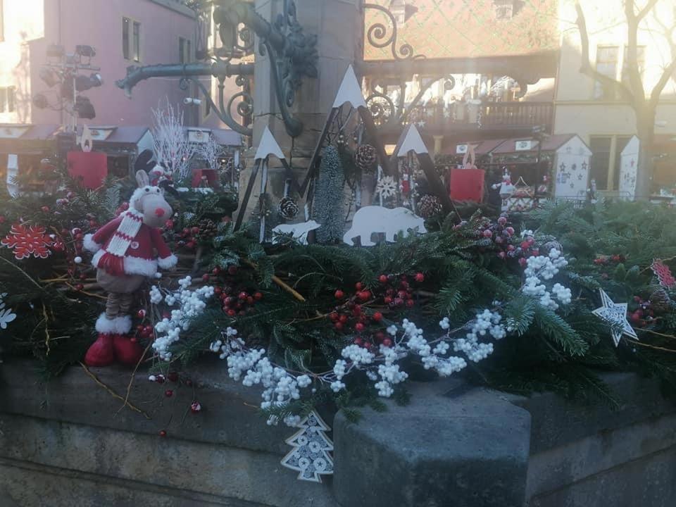 Gite Les Lavandieres Colmar Luaran gambar