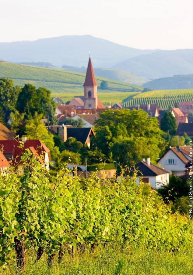 Gite Les Lavandieres Colmar Luaran gambar