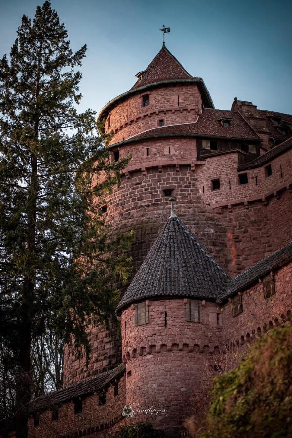 Gite Les Lavandieres Colmar Luaran gambar